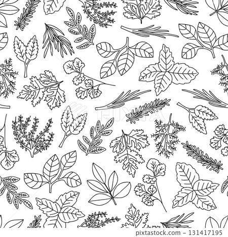 HERBS seamless pattern sketch doodle black and white illustration plants hand drawn pencil drawing wallpaper backdrop background texture 131417195