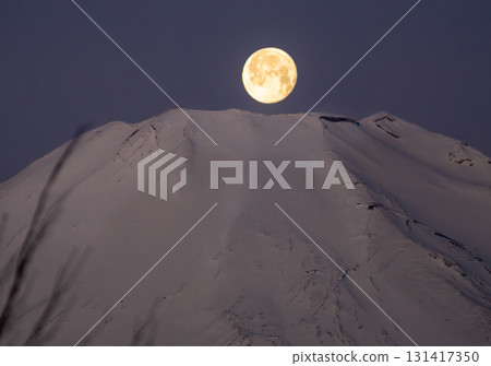 珍珠富士 131417350