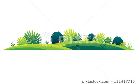 Green lawn with grass and plants on white background, composition of plants on the sunny lawn 131417716