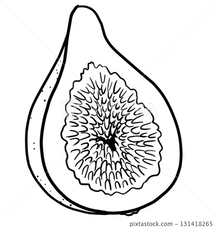 簡單的無花果線描 簡單的無花果線描 131418265