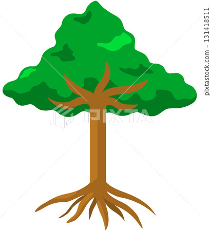 Evergreen broadleaf tree 131418511