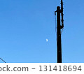 Midday moon and telegraph pole 131418694