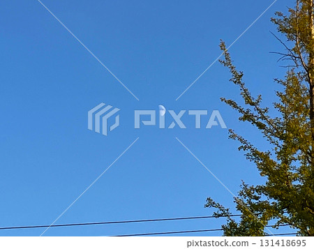 Midday Moon and Trees Midday Moon and Trees 131418695