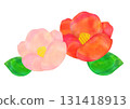 冬季插畫素材：山茶花插畫，水彩風格 131418913
