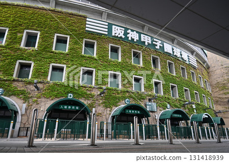 兵庫縣常春藤覆蓋的阪神甲子園球場 131418939