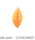 Autumn element. Leaves, acorn, chestnut and berry. Yellow, orange and red, green tree foliage fall season, harvest hand drawn elements. Vector illustration 131419425