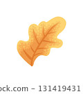 Autumn element. Leaves, acorn, chestnut and berry. Yellow, orange and red, green tree foliage fall season, harvest hand drawn elements. Vector illustration 131419431