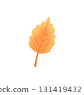 Autumn element. Leaves, acorn, chestnut and berry. Yellow, orange and red, green tree foliage fall season, harvest hand drawn elements. Vector illustration 131419432
