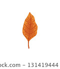 Autumn element. Leaves, acorn, chestnut and berry. Yellow, orange and red, green tree foliage fall season, harvest hand drawn elements. Vector illustration 131419444