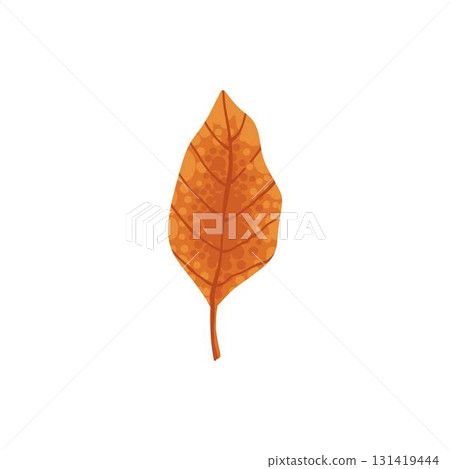 Autumn element. Leaves, acorn, chestnut and berry. Yellow, orange and red, green tree foliage fall season, harvest hand drawn elements. Vector illustration 131419444