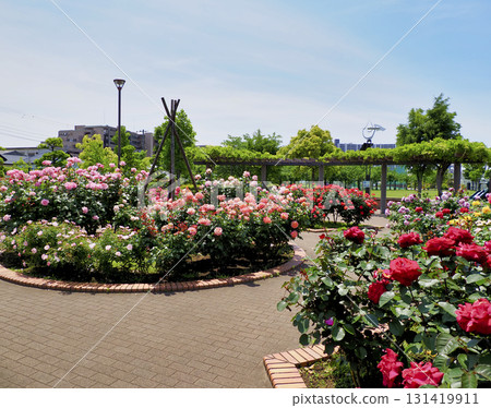 Hiroo Disaster Prevention Park (Ichikawa City) Flower Square (Rose Garden) 131419911