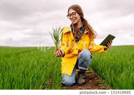 A young farmer woman in a yellow raincoat inspects a healthy plant crop in a green field 131419995