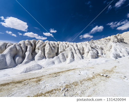 The edge of the Tuzbair Salt Lake, Ustyurt Plateau, Kazakhstan The edge of the Tuzbair Salt Lake, Ustyurt Plateau, Kazakhstan 131420094