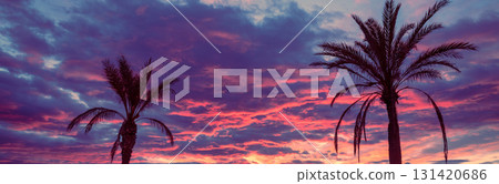 Palm trees on the beach against the dramatic sunset sky. Silhouette of tall palm trees. Tropical evening landscape. Beautiful tropical nature 131420686