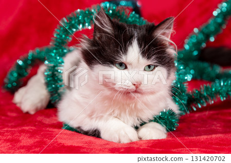 Funny little kitten wrapped in Christmas glitter garland lies on a red blanket. Christmas concept. Funny little kitten wrapped in Christmas glitter garland lies on a red blanket. Christmas concept. 131420702