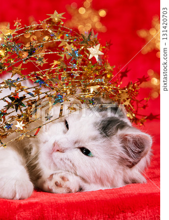Funny little kitten wrapped in Christmas glitter garland lies on a red blanket. Christmas concept. Vertical photo Funny little kitten wrapped in Christmas glitter garland lies on a red blanket. Christmas concept. Vertical photo 131420703