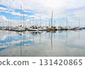 Nishinomiya Yacht Harbor, the largest in western Japan 131420865