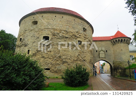 蘇爾蘭納門和胖馬萊加雷塔 131420925