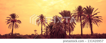 Row of tropical palm trees against an orange sunset sky. Silhouette of tall palm trees. Tropical evening landscape. Beautiful tropical nature Row of tropical palm trees against an orange sunset sky. Silhouette of tall palm trees. Tropical evening landscape. Beautiful tropical nature 131420957