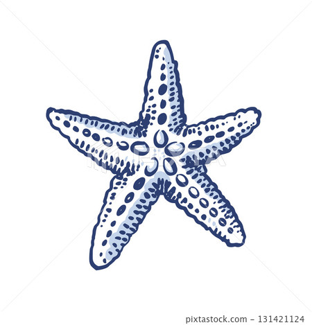 Starfish. Whimsical Hand Drawn Print. Isolated on white backdrop. Freehand outline ink scribble retro style. Outline modern style. 131421124