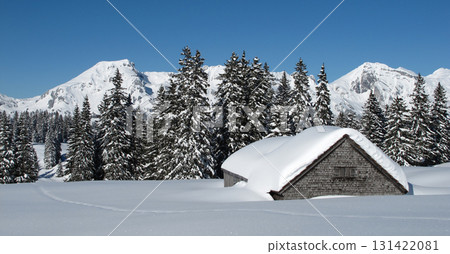 Winter landscape, snow covered trees and hut, Toggenburg Valley, Switzerland. 131422081