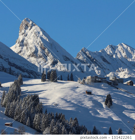 Peak of the Churfirsten Range in winter seen from Wildhaus, Toggenburg Valley, Switzerland. 131422261