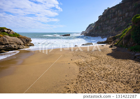 Scenic ocean coastline with sandy beach 131422287