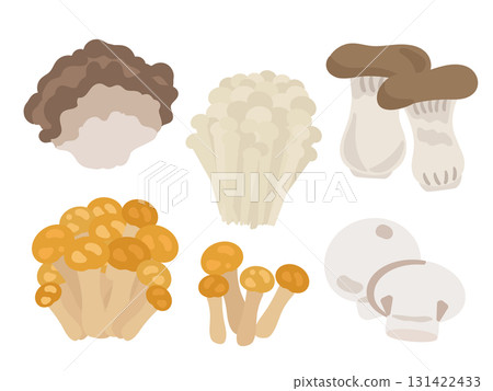 Mushroom autumn taste illustration set 131422433