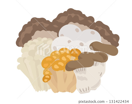 Mushroom autumn taste illustration set 131422434