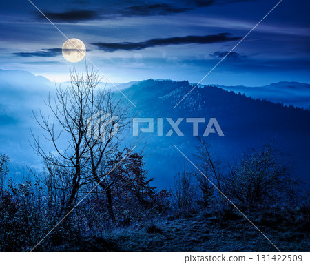 view from a mountain in to the foggy valley at night. beautiful autumn landscape. forested hills in full moon light. picturesque alpine countryside scenery 131422509
