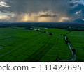 Aerial view of lush green rice field with small winding canal. Sustainable agriculture landscape. Sustainable rice farming. Rice cultivation. Green landscape. Organic farming. Sustainable land use. 131422695