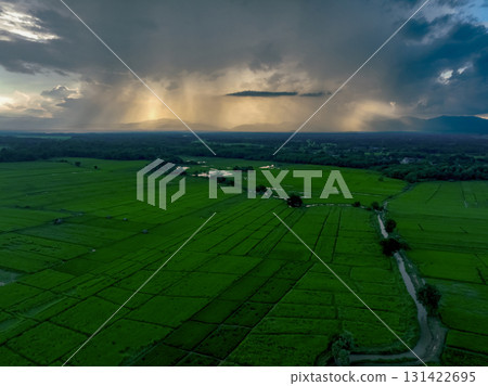 Aerial view of lush green rice field with small winding canal. Sustainable agriculture landscape. Sustainable rice farming. Rice cultivation. Green landscape. Organic farming. Sustainable land use. 131422695