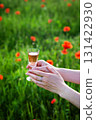 A woman's hands delicately hold a glass of rose wine in a poppy field, enjoying a summer's day 131422930