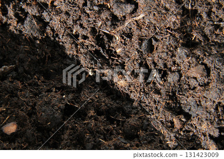 Soil close-up. Black earth in the sun. The rays of the sun illuminate the garden 131423009