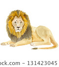 Hand-painted watercolor illustration of a majestic lion. Artistic wildlife artwork with soft textures and delicate brushstrokes. 131423045