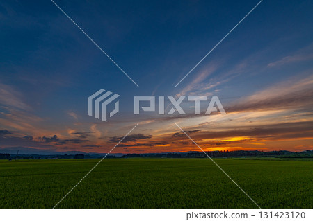Rural evening landscape Rural evening landscape 131423120