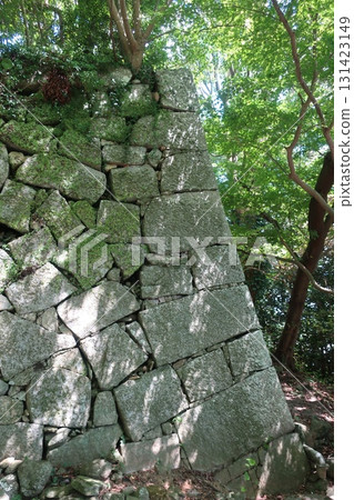 與石牆的風景 與石牆的風景 131423149