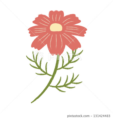 一朵粗糙的波斯菊 131424483