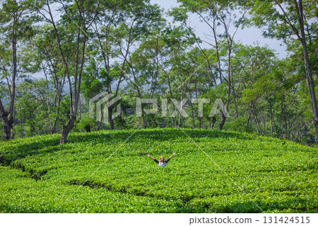 Young woman stands with outstretched arms in the middle of lush green tea plantations, surrounded by tall trees. This vibrant image captures freedom, eco-tourism, and travel in asian tropical nature. 131424515