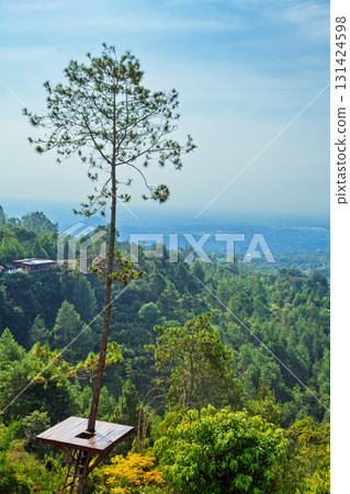 Scenic view from tall tree platform in Batu Flower Garden, Batu, East Java. With tropical forest, this panoramic spot is popular destination for family travel, Instagrammable landscapes in Indonesia. Scenic view from tall tree platform in Batu Flower Garden, Batu, East Java. With tropical forest, this panoramic spot is popular destination for family travel, Instagrammable landscapes in Indonesia. 131424598