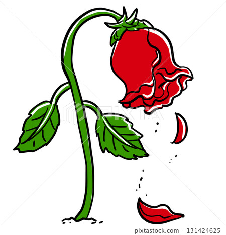 Wilted rose illustration Wilted rose illustration 131424625