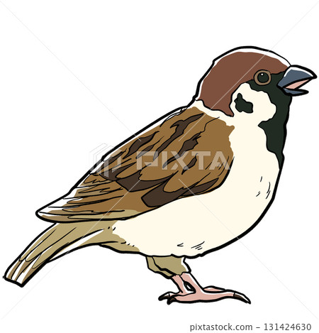 一隻逼真的野生麻雀 131424630