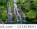 Fit woman enjoys blue crystal clear flowing water in natural pool under high waterfall cascading down a lush, green cliff. Adventure lifestyle at family holidays travel in Bali tropical rainforest. 131424641