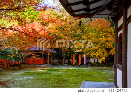 被秋葉染紅的善王寺 131424731
