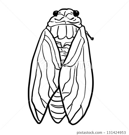 Simple cicada line drawing 131424953