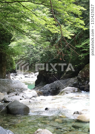 Yasui Valley with high transparency Yasui Valley with high transparency 131425027