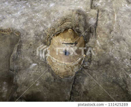 Yoshinogari Historical Park, North Tomb, Earthenware coffin and grave goods, bronze sword and tubular beads, Yoshinogari Town, Saga Prefecture 131425289