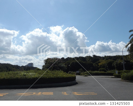 稻毛海濱公園的藍天白雲 稻毛海濱公園的藍天白雲 131425503