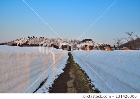 冬天的小千谷花園(新潟縣) 冬天的小千谷花園(新潟縣) 131426306