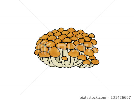 Nameko Nameko 131426697